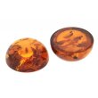 Bernstein cabochon Ø 8,0 mm