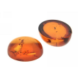 Bernstein oval 8 x 6 mm