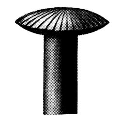 Messerschneide Ø 5,0 x 1,30 mm