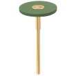 Diablade Polierer Ø 25 x 2 mm grob - grün